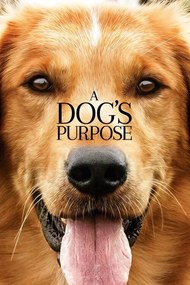 Εικονογράφηση A Dog's Purpose (2017)