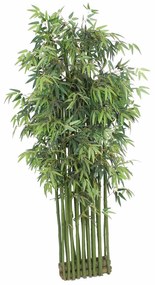 Supergreens Τεχνητό Μπαμπού Tallgrass Διαχωριστικό Πράσινο 200 εκ.