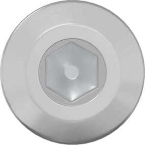 vidaXL Βίδα 2 pcs Ασημί M6 x 85 χιλ. Ατσάλι