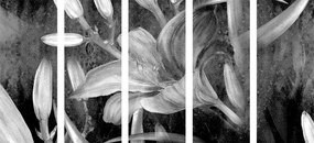 Εικόνα λουλουδιού κρίνος 5 μερών σε μαύρο & άσπρο - 100x50