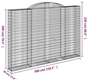 vidaXL Συρματοκιβώτια Τοξωτά 2 τεμ. 300x30x200/220 εκ. Γαλβαν. Ατσάλι