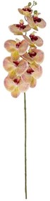 Τεχνητό Λουλούδι Orchid 21405 95cm Pink-Salmon GloboStar Πολυαιθυλένιο