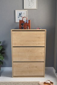 Stewehome Ντουλάπι Παπουτσιών 3 Θέσεων Δρυς 73.6x24x110 cm