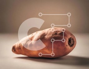 Σετ των 2 Intra Συλλεκτικό Ξύλινο Παζλ Plywood 4mm - Μισοφαγωμένη γλυκοπατάτα στο τραπέζι Σε Ξύλινο Κουτί - Διαστάσεις: 10x10 cm – 25 κομμάτια