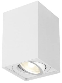 Φωτιστικό Σποτ Braytron BH04-00210 Λευκό (White)