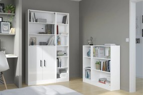 Σύνθεση Γραφείου Mayer