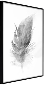 Αφίσα - Lost Feather (Grey) - 30x45 - Μαύρο - Χωρίς πασπαρτού