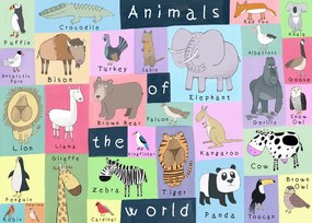 Εικονογράφηση Animals of the World, Carla Daly