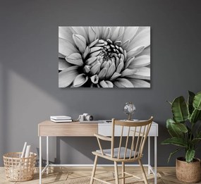Εικόνα λεπτομερή ντάλια σε μαύρο & άσπρο - 120x80
