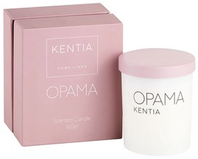 Αρωματικό Κερί 160gr Kentia Mood Όραμα