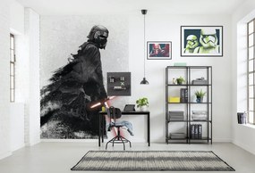 Φωτοταπετσαρία Star Wars Kylo Vader Shadow DX4-074