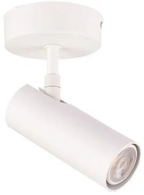 Σποτ Φωτιστικό Οροφής Ατσάλι H11,5 Φ12,5 Eurolamp-145-25000-Λευκό 145-25000