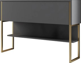 Συρταριέρα Χρυσό / Ανθρακί FOBRE 120x30x80