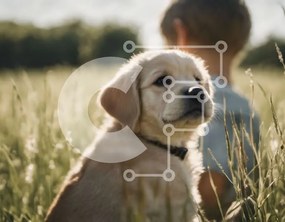 Intra Συλλεκτικό Ξύλινο Παζλ Plywood  4mm - Κουτάβι Golden Retriever σε ένα χωράφι με ψηλό γρασίδι Σε Ξύλινο Κουτί - Διαστάσεις: 10x10 cm – 25 κομμάτια