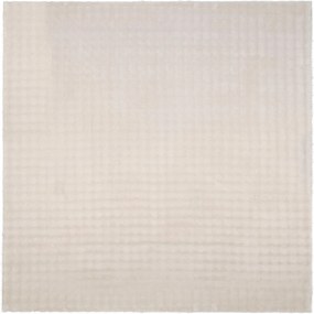 vidaXL Χαλιά χώρου τετράγωνο SIROLO Μπεζ 120 x 120 cm Πολυεστέρας