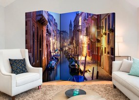 Διαχωριστικό με 5 τμήματα - Evening in Venice II [Room Dividers] 225x172