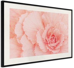 Αφίσα - Delicate Petals - 60x40 - Μαύρο - Με πασπαρτού