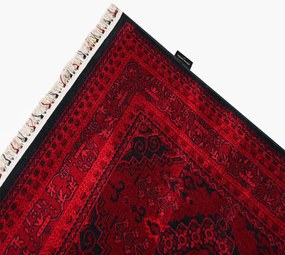 Χαλί (160x230) Pierre Cardin Vienna HY03 Bordo