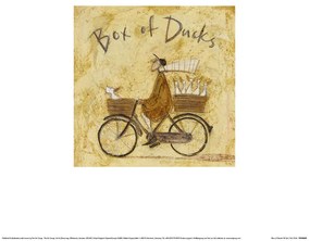 Εκτύπωση τέχνης Sam Toft - Box of Ducks