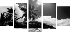 Εικόνα 5 μερών μιας όμορφης παραλίας στο νησί των Σεϋχελλών σε μαύρο & άσπρο