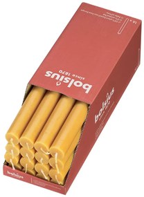 Bolsius Κεριά Επιτραπέζια Shine 16 τεμ. Κυψελωτό Κίτρινο 27 εκ.