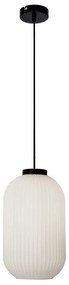 Φωτιστικό Οροφής Astor 4253100 E27 White-Black Viokef Metal, Glass