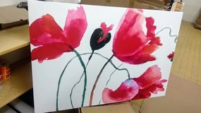 Εικόνα μοναδικά λουλούδια παπαρούνας - 60x40