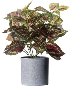 Τεχνητό Φυτό Περίλλα 6160-6 30x30x35cm Multi Supergreens Polyethylene