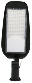 Adeleq Φωτιστικό Δρόμου LED 100W 5500Κ Mε Αντικεραυνική Προστασία Και Σπαστό Βραχίονα ΙP65 Ανθρακί 3-629100
