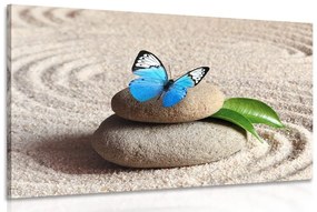 Εικόνα μιας μπλε πεταλούδας σε έναν κήπο Zen