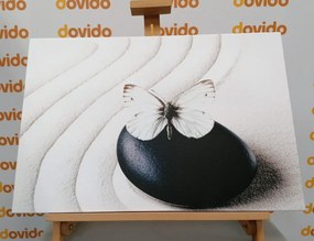 Εικόνα λευκής πεταλούδας σε μαύρη πέτρα - 60x40