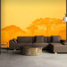 Φωτοταπετσαρία - Orange savanna 250x193