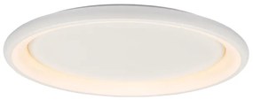 Φωτιστικό Πλαφονιέρα LED Aca Diana BR71LEDC81WH White