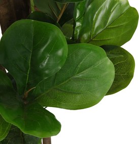 vidaXL Φίκος Λιράτα 180 Φύλλα Πράσινος 150 εκ.