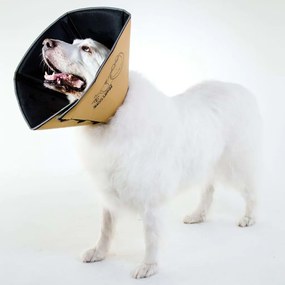 All Four Paws Κώνος/Κολάρο Ανάρρωσης Comfy Cone M 20 εκ. Ταμπά