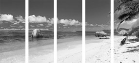 Εικόνα 5 μερών παραλία Anse Source σε ασπρόμαυρο