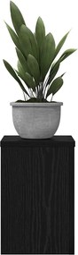 vidaXL Βάση φυτών 2 pcs Μαύρη Οξυά 20 x 20 x 30 cm Επεξεργασμένο ξύλο