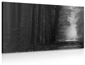 Μονοπάτι εικόνας στο δάσος σε ασπρόμαυρο - 90x60