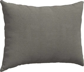 vidaXL Μαξιλάρι Καναπέ 2 pcs Ανοιχτό γκρι 70 x 50 cm