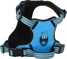 vidaXL Λουρί Σκύλου με Οδηγό και Κολάρο Ρυθμιζόμενο Μπλε M