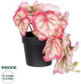 Διακοσμητικό Φυτό Κόκκινη Μπιγόνια Artificial Garden 20948 Globostar-20948-Κόκκινο 20948