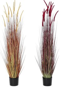 Διακοσμητικό Φυτό DKD Home Decor Πορτοκαλί πολυαιθυλένιο Βουργουνδίας PVC 30 x 30 x 150 cm (x2)