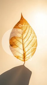 Σετ των 2 Intra Συλλεκτικό Ξύλινο Παζλ Plywood 4mm - Φωτισμένο χρυσό φύλλο Σε Ξύλινο Κουτί - Διαστάσεις: 10x10 cm – 25 κομμάτια