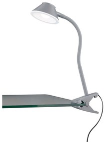 Φωτιστικό Clip-On RL Lighting Berry R22191287 Γκρι