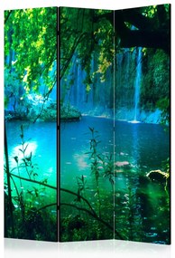 Διαχωριστικό με 3 τμήματα - Kursunlu Waterfalls [Room Dividers] 135x172