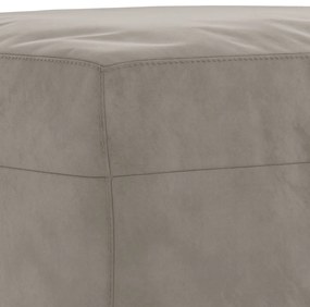 vidaXL Πάγκος Ανοιχτό Γκρι 100 x 35 x 41 εκ. Βελούδινος