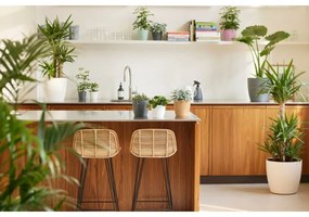 Σετ από Γλάστρες Elho Γκρι Πλαστική ύλη Στρόγγυλο 2 Τεμάχια