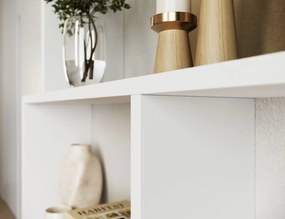 Βιβλιοθήκη Idaho-Leuko