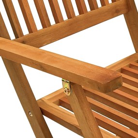 Καρέκλες Εξωτ. Χώρου Πτυσσόμενες 2 τεμ. Μασίφ Ξύλο Ευκαλύπτου - Καφέ