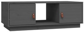 vidaXL Τραπεζάκι Σαλονιού Γκρι 100x50x35 εκ. από Μασίφ Ξύλο Πεύκου